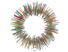 BarChart - radial-weather