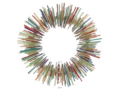 BarChart - radial-weather
